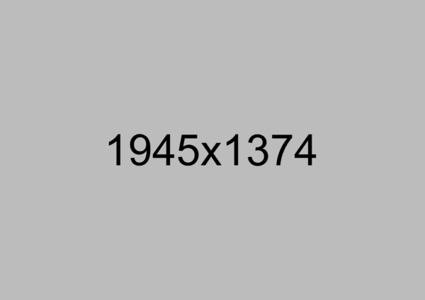 img1 img1