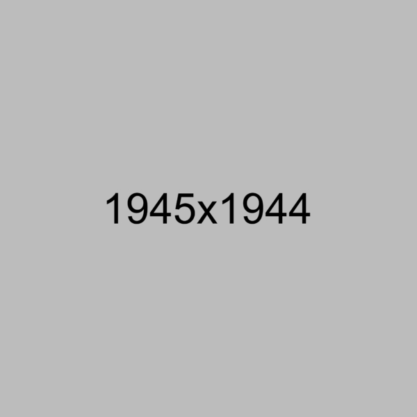 img8 img8