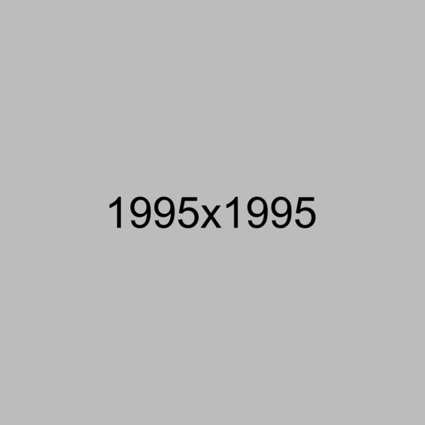 img9 img9